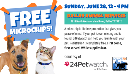 Dallas Animal Services Free Pet Microchipping Event