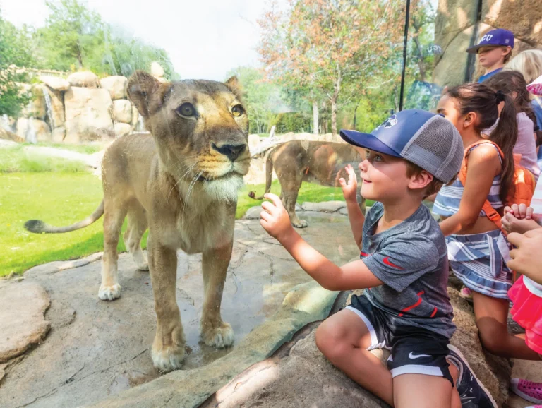 Fort Worth summer events guide featuring FoodieLand Festival, World Cup celebrations, family attractions, museums, Stockyards, and outdoor activities throughout June 2026.